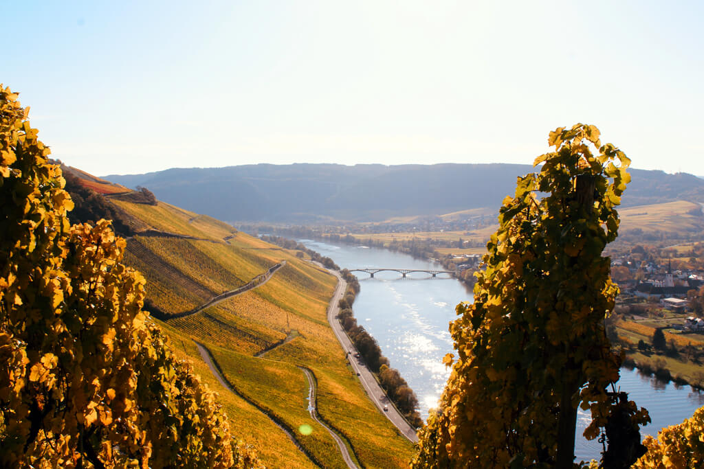 Weingut Hansjosten Longuich-Kirsch